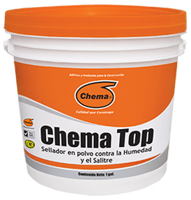 Chema Top